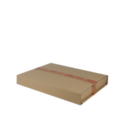 Carbook 43 x 31 x 6 cm - Kartonnen dozen