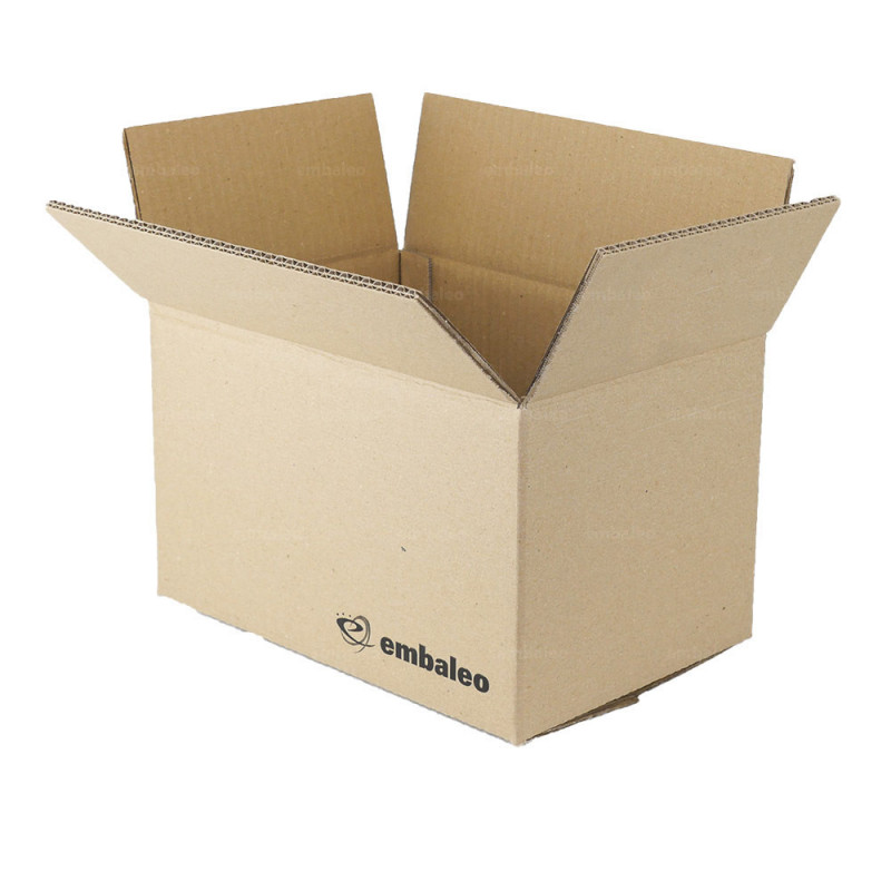 Mysterieus noodzaak schending Kartonnen doos dubbelgolf 30x20x17 cm